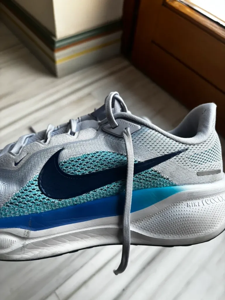 Used Pegasus Nike 41 bike — image 4 of 5