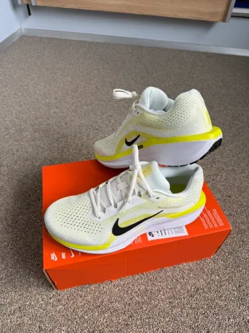 Used Nike Winflo 11 bike