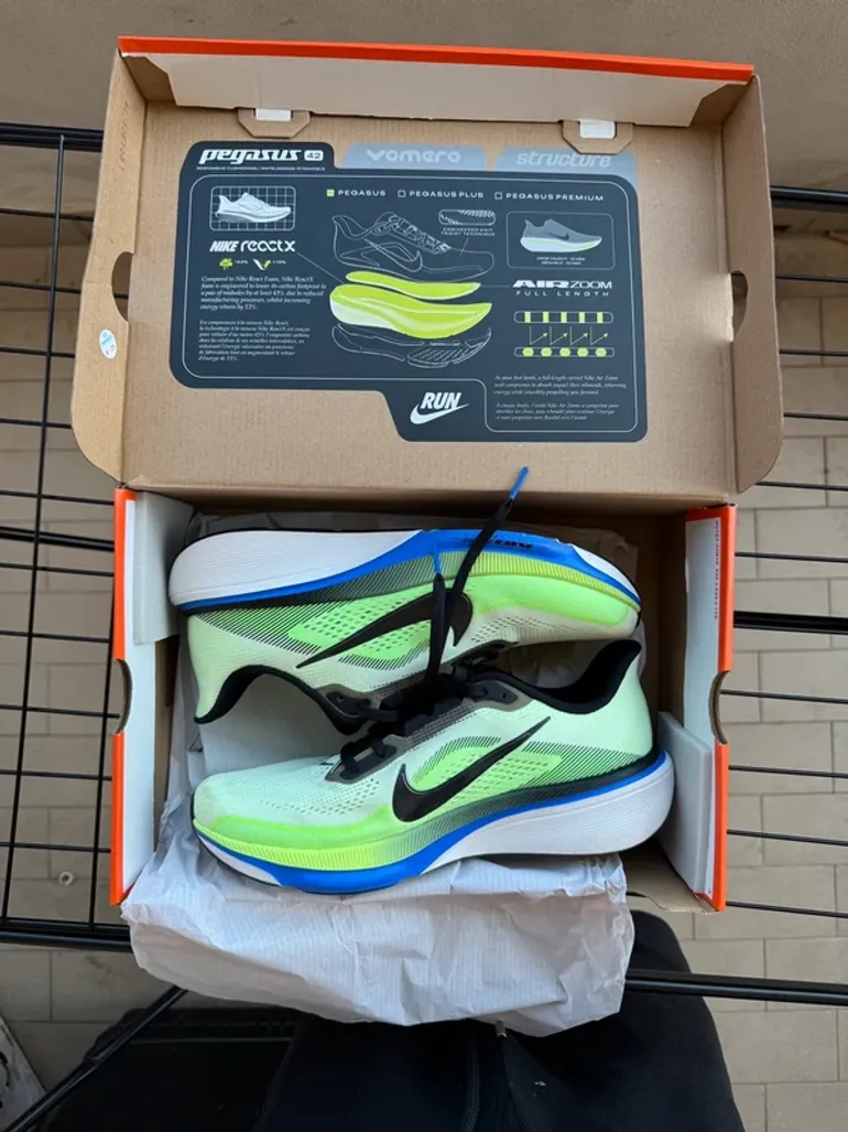 Pegasus 42 bike usato — immagine 1 di 7