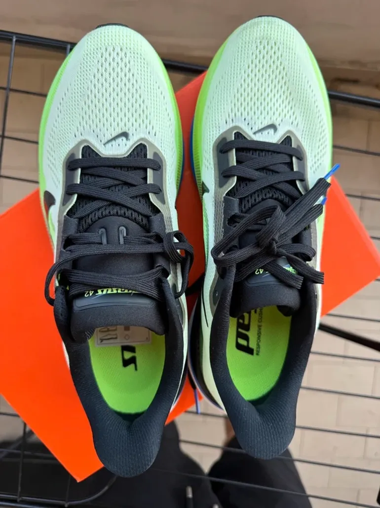 Pegasus 42 bike usato — immagine 5 di 7