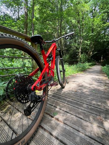 Used Dt Swiss FR 541 bike — image 2 of 2