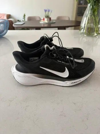 Used Pegasus Nike Easy On bike