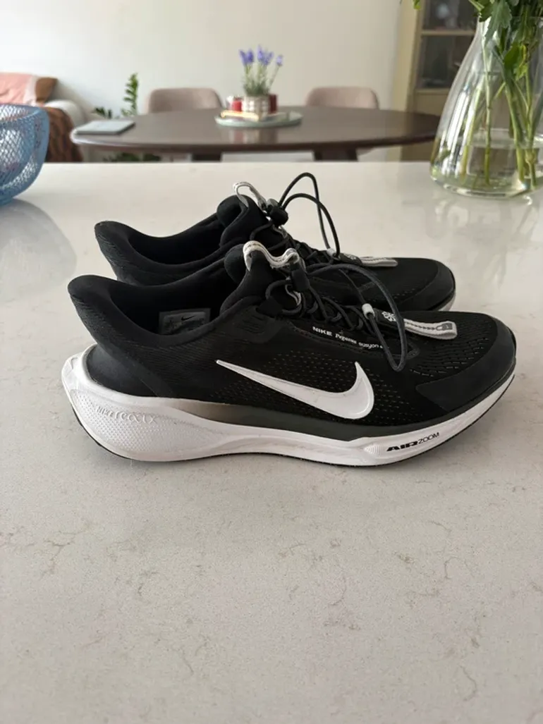 Used Pegasus Nike Easy On bike — image 1 of 5