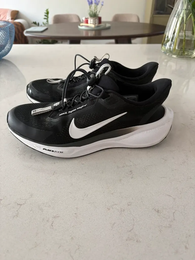 Used Pegasus Nike Easy On bike — image 2 of 5