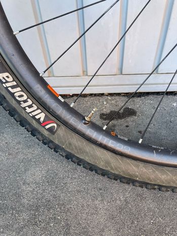 Gebrauchtes Bontrager Kovee Elite 23 TLR Boost 29 Carbon MTB Wheelset 2021 bike — Bild 5 von 11