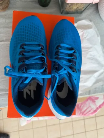 Used Pegasus 37 bike