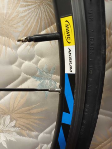 Used Mavic Aksium Wheelset Wheels