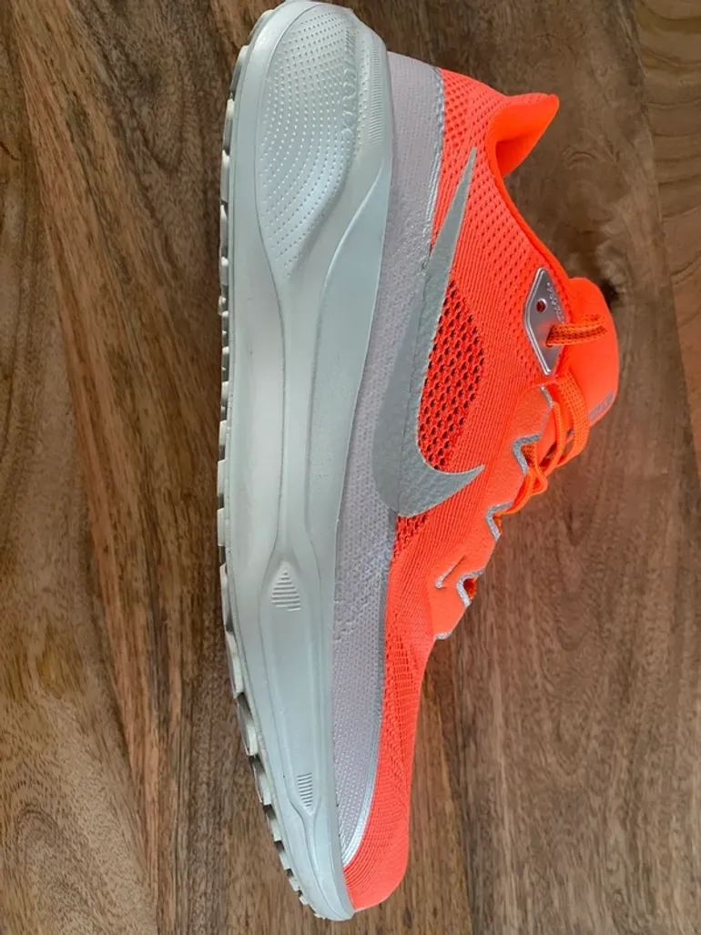 Pegasus 41 bike usato — immagine 3 di 7