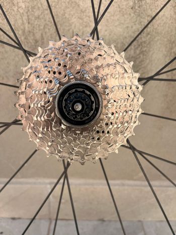 Gebrauchtes No brand Princeton bike — Bild 6 von 6