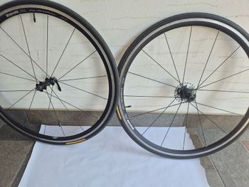 Použité Bianchi XL Lievitatation bike — obrázek 11 z 16