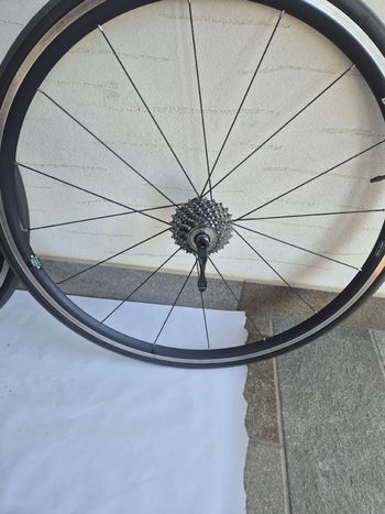 Použité Bianchi XL Lievitatation bike — obrázek 2 z 16