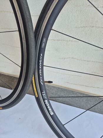 Použité Bianchi XL Lievitatation bike — obrázek 12 z 16