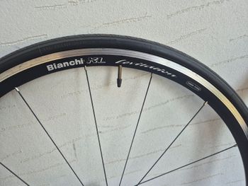 Použité Bianchi XL Lievitatation bike — obrázek 3 z 16