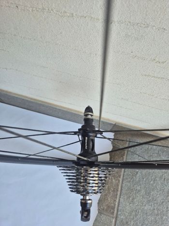 Použité Bianchi XL Lievitatation bike — obrázek 10 z 16