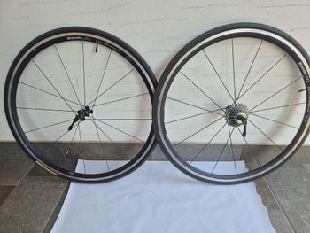 Used Bianchi XL Lievitatation bike