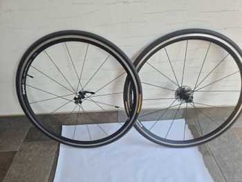 Použité Bianchi XL Lievitatation bike — obrázek 16 z 16