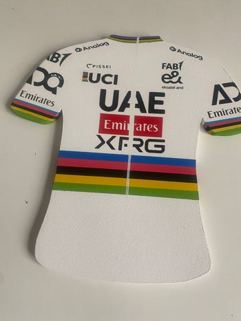 Brugt sans marque Porte-manteau maillot Tadej Pogačar Arc-en-Ciel 2026 bike — billede 6 af 9