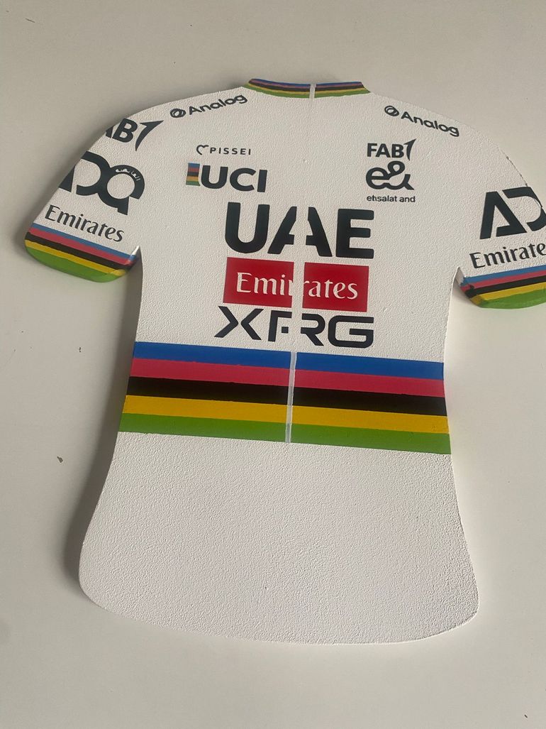 Brugt sans marque Porte-manteau maillot Tadej Pogačar Arc-en-Ciel 2026 bike — billede 6 af 9