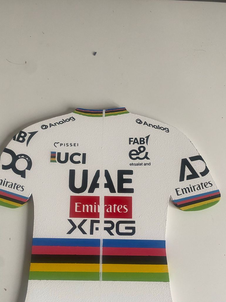 Brugt sans marque Porte-manteau maillot Tadej Pogačar Arc-en-Ciel 2026 bike — billede 9 af 9
