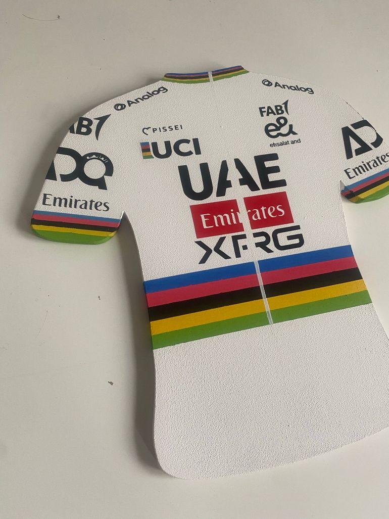 Brugt sans marque Porte-manteau maillot Tadej Pogačar Arc-en-Ciel 2026 bike — billede 8 af 9