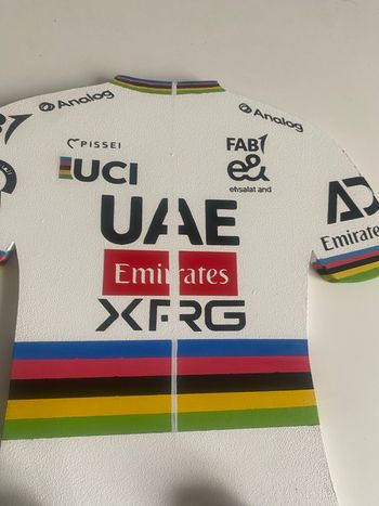 Brugt sans marque Porte-manteau maillot Tadej Pogačar Arc-en-Ciel 2026 bike — billede 5 af 9