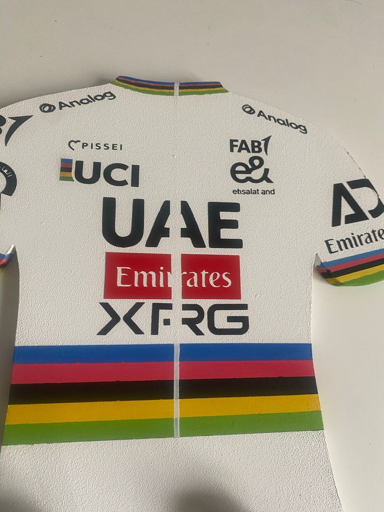 Brugt sans marque Porte-manteau maillot Tadej Pogačar Arc-en-Ciel 2026 bike — billede 5 af 9