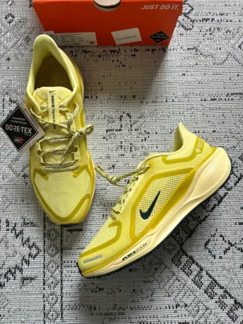 Used Pegasus Nike 41 GTX bike