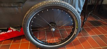 Gebrauchtes Qeridoo Qubee XL Cargo Trailer 2025 bike — Bild 3 von 6