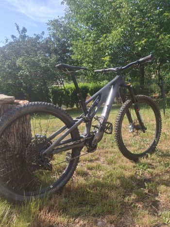 Specialized Vtt bike d'occasion — image 6 sur 6