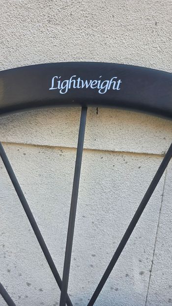 Used Lightweight Wegweiser Evo Wheelset bike — image 4 of 11