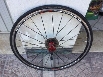 Gebrauchtes MICROTECH Cerchi bike — Bild 2 von 4