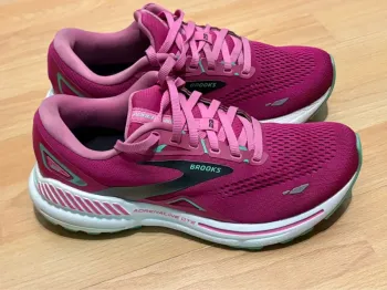 Brooks Adrenaline GTS 23 bike usato