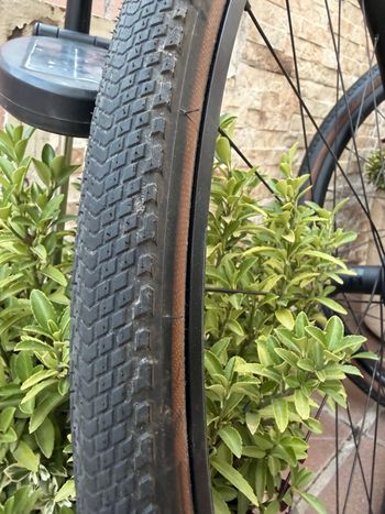 Used Bontrager Complete Wheels 2024 bike — image 3 of 9