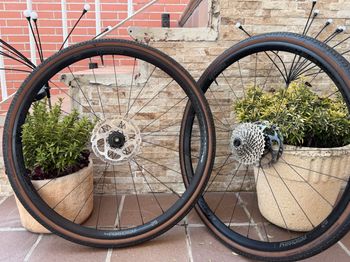 Used Bontrager Complete Wheels 2024 bike — image 6 of 9