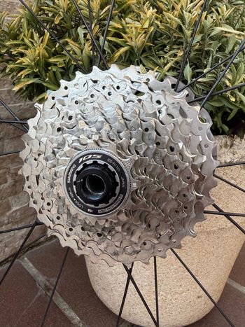 Used Bontrager Complete Wheels 2024 bike — image 9 of 9