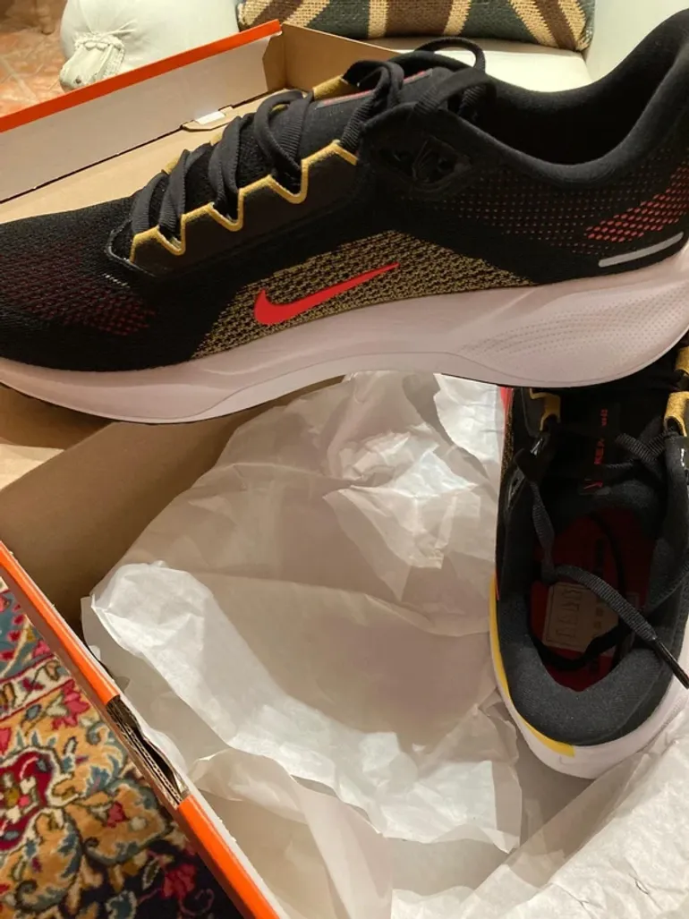 Pegasus 41 bike usato — immagine 1 di 8