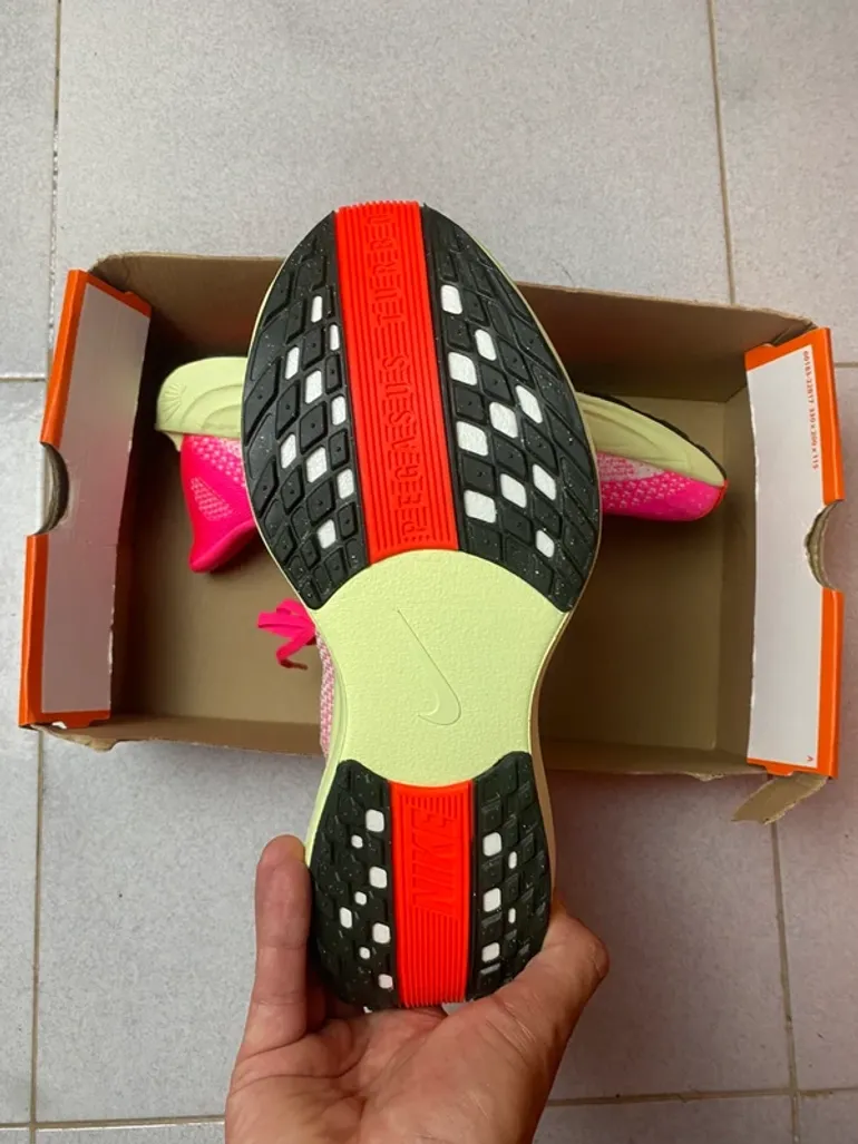 Pegasus Plus bike usato — immagine 3 di 9