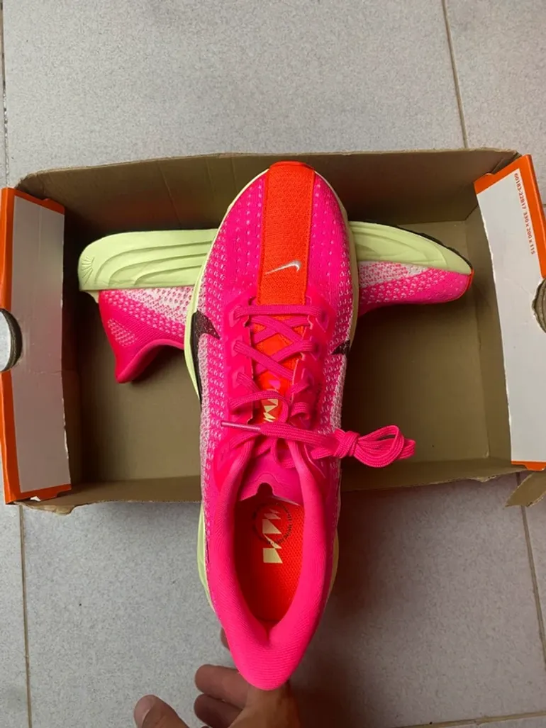 Pegasus Plus bike usato — immagine 4 di 9