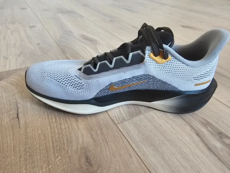 Pegasus 41 bike usato — immagine 8 di 11