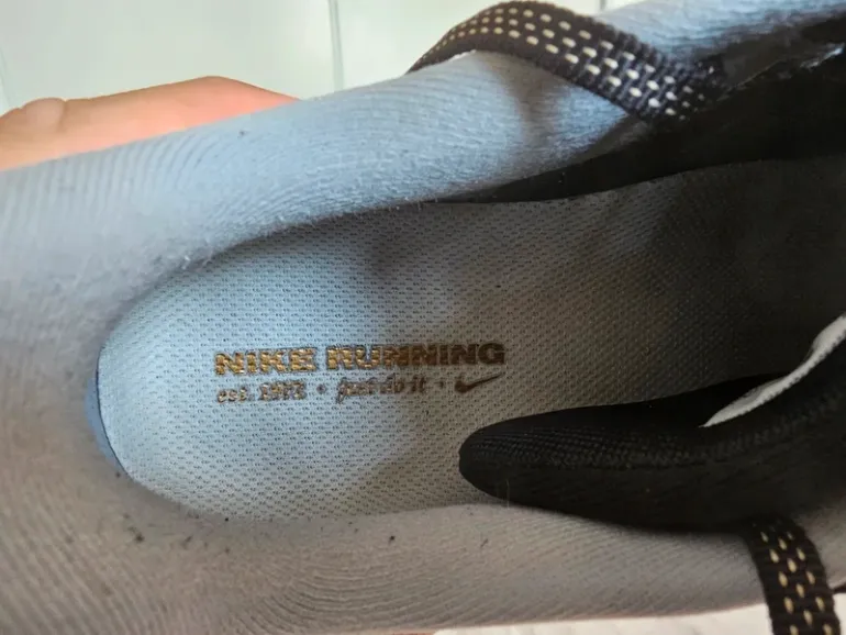 Pegasus 41 bike usato — immagine 10 di 11