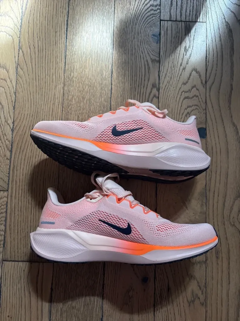 Pegasus Nike 41 bike usato — immagine 2 di 6