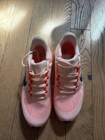 Pegasus Nike 41 bike usato