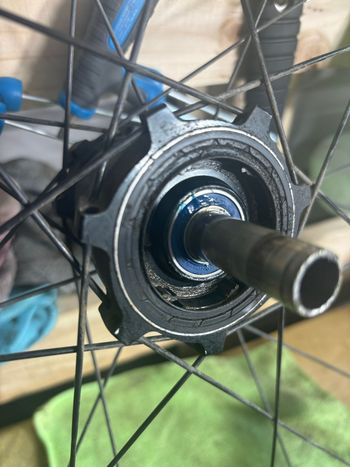Dt Swiss FR 541 Rim 2026 bike de segunda mano — imagen 2 de 7