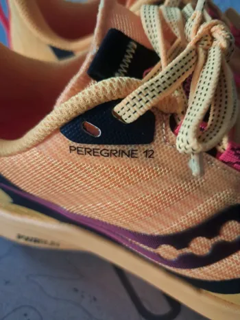 Used Saucony Peregrine 12 bike — image 5 of 15