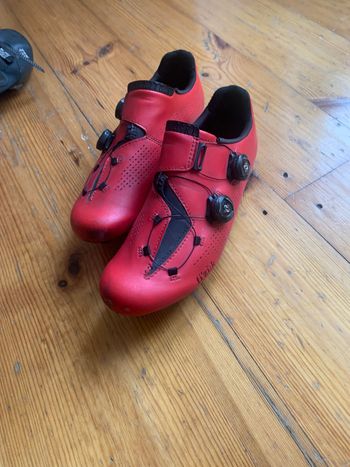 Used Fizik Infinito R1 Gr 43 2021 bike
