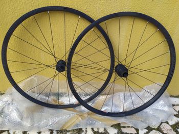 Bontrager, Paradigm disc