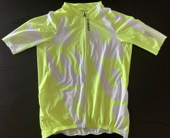 Used Q36.5 Gregarius Pro Big Logo Trikot 2026 bike