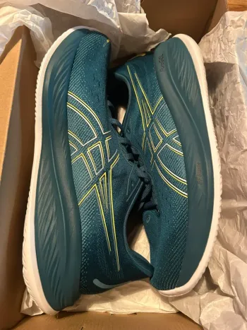 Used Asics Gel Cumulus 26 bike