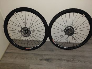 Used Alexrims SD20 Rim 20-inch bike