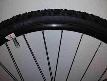 Used Alexrims SD20 Rim 20-inch bike — image 2 of 4
